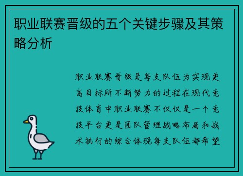 职业联赛晋级的五个关键步骤及其策略分析 职业联赛晋级的五个关键步骤及其策略分析